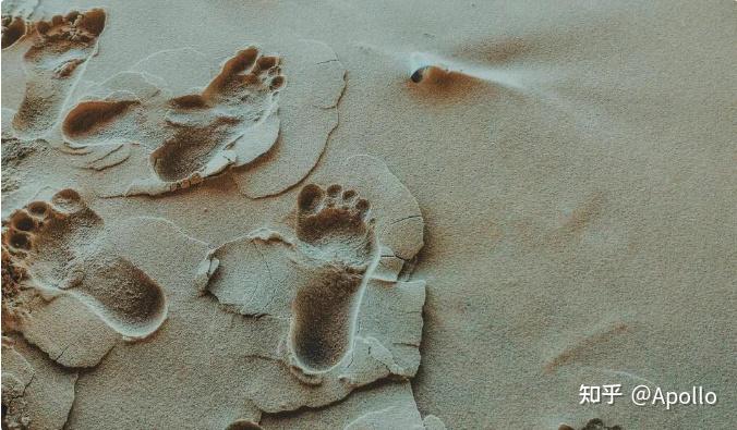 运动鞋要垫鞋垫吗_运动鞋垫_运动鞋用鞋垫